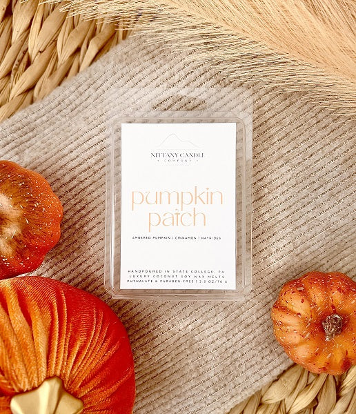 Nittany Candle Company pumpkin scented wax melts on fall background with mini pumpkins